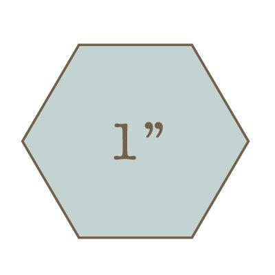 1" Hexagon Papers Bulk (260)