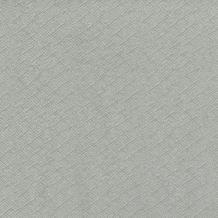 Bread and Butter - Gray 1898-002 - Fat Quarter