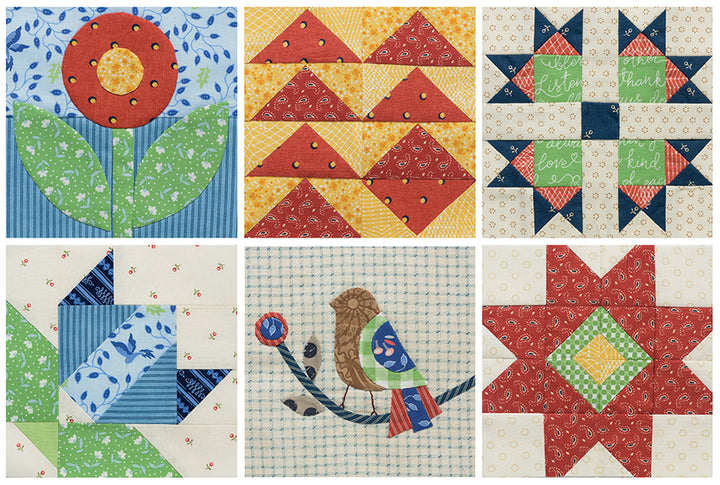 The Splendid Sampler 2 Book by Pat Sloan and Jane Davidson Sample Blocks