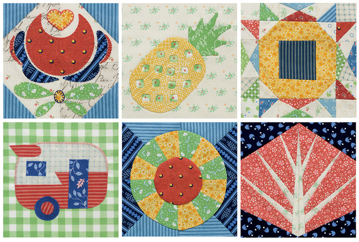 The Splendid Sampler 2 Book by Pat Sloan and Jane Davidson Sample Blocks